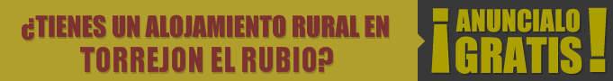 Tiendas en Torrejon el Rubio